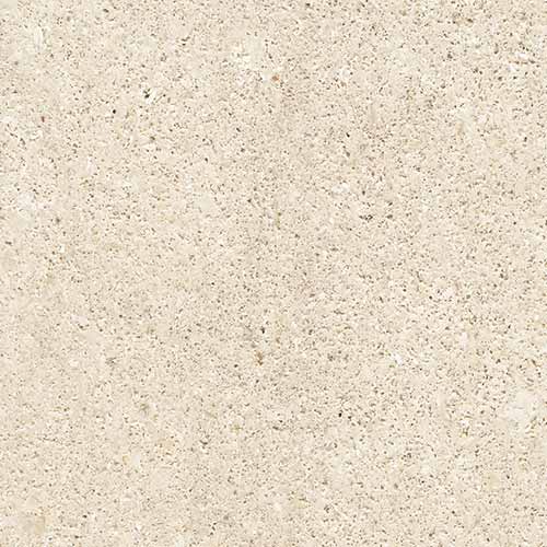 Limestone and Sandstone White Niwala White